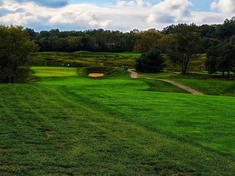 3263 pb dye golf club 768x576