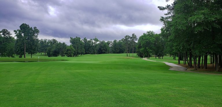 3338 timberline golf club 768x373