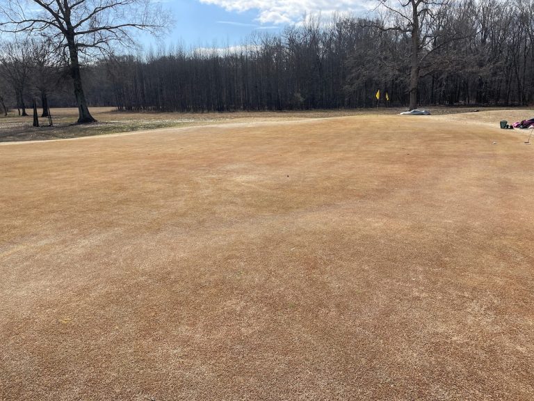 3572 89 golf range 768x576