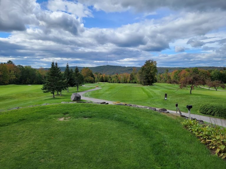 3631 the meadows golf club 768x576