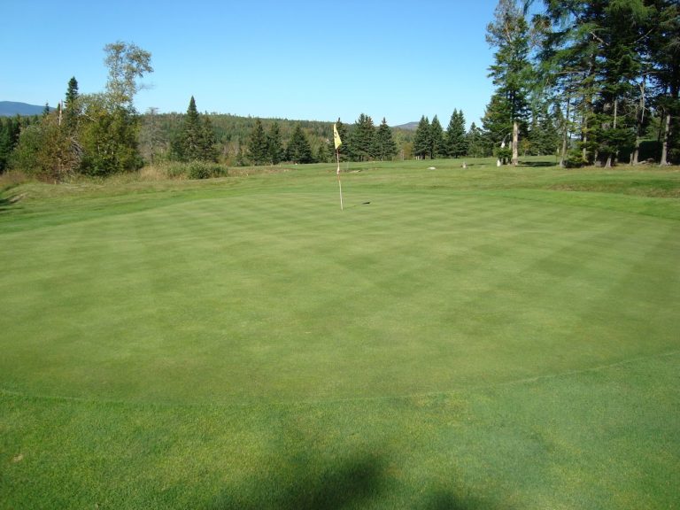 3645 evergreen golf club 768x576