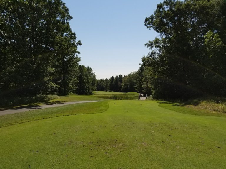 3724 pohlcat golf course 768x576