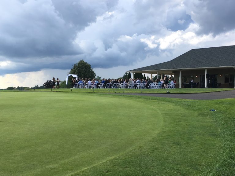 3800 links of novi 768x576