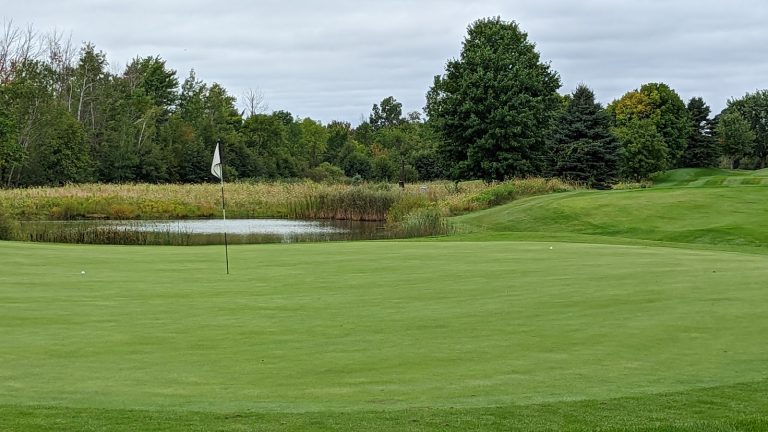 3808 moss ridge golf club 768x432