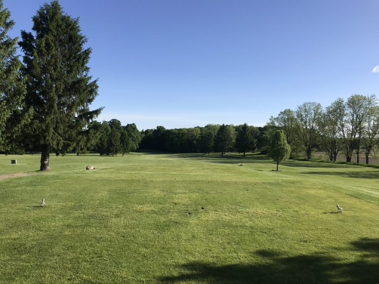 3830 ledge meadows golf course 768x576