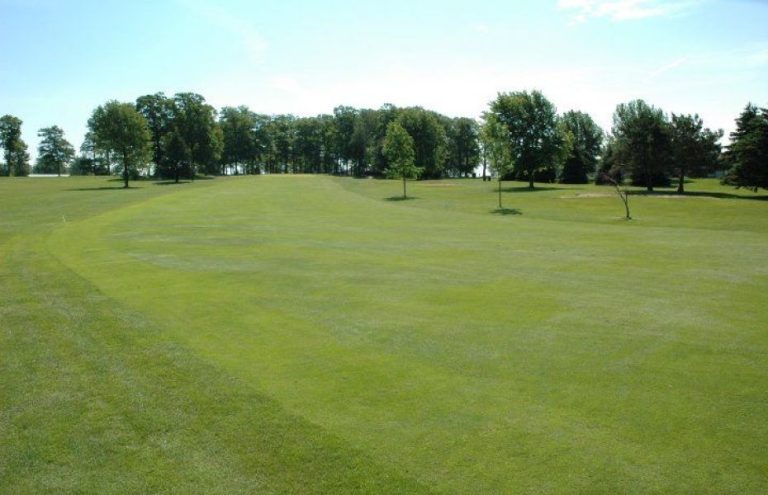 3880 royal scot golf bowl 768x495