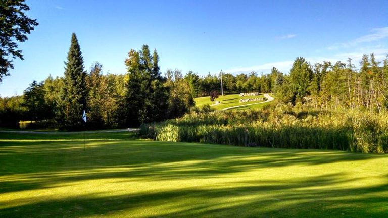 3906 cedar valley golf club 768x432