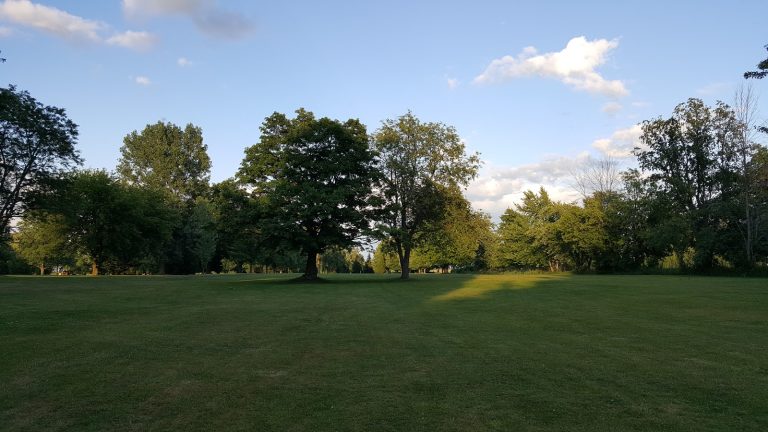 3932 caseville golf course 768x432