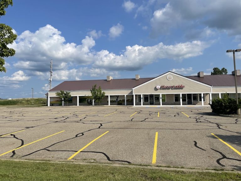 3944 clever caddie 768x576