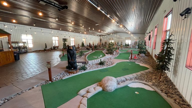 3974 golf zone 768x432