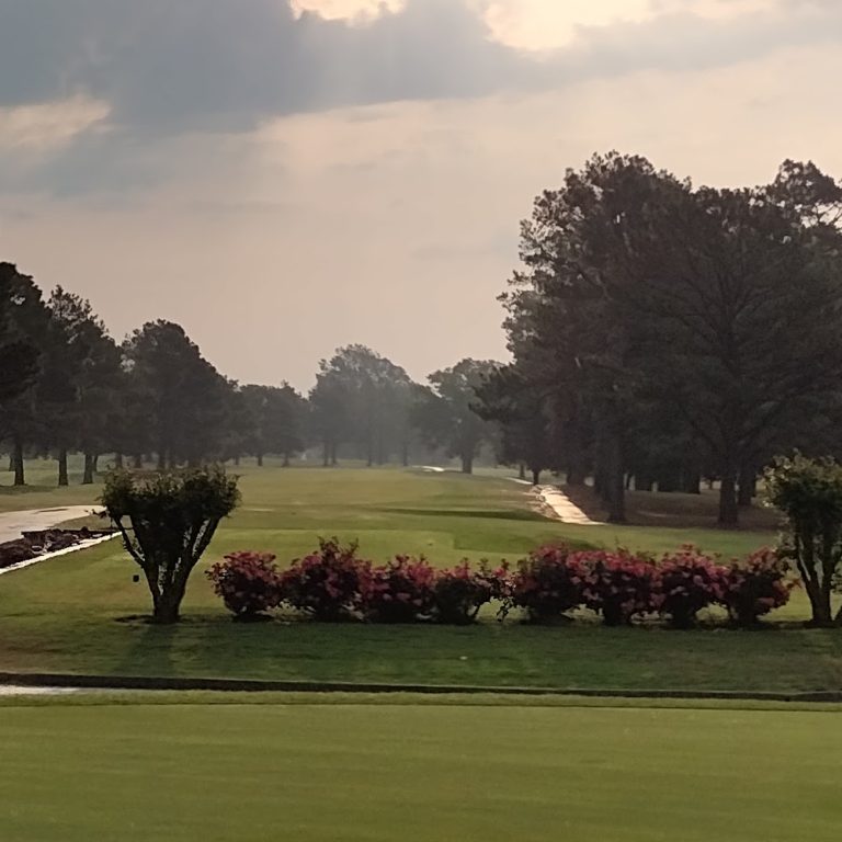 4189 olive branch country club olive branch mississippi 768x768