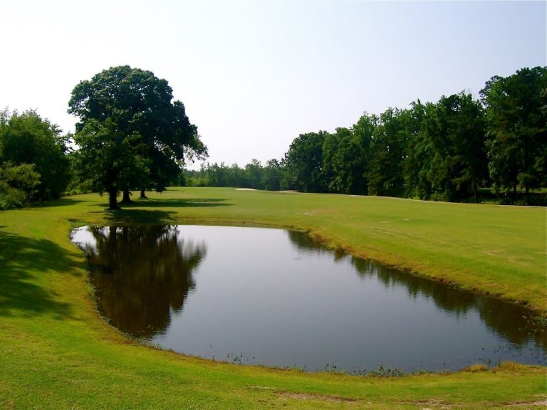 4411 fairmont golf course fairmont north carolina 768x576