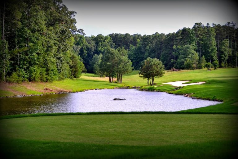 4419 tillery tradition country club mt gilead north carolina 768x512
