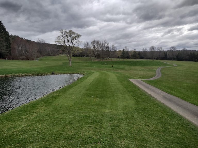 5138 shepard hills country club waverly new york 768x576