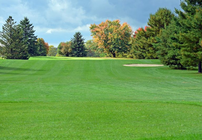 5150 hillendale golf course ithaca new york 768x532