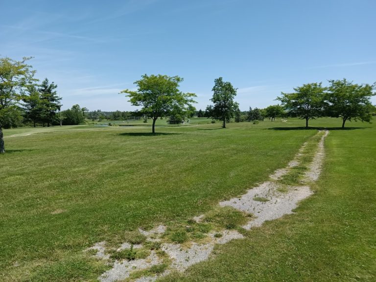 5182 l a golf club wings more restaurant bar clayton new york 768x576