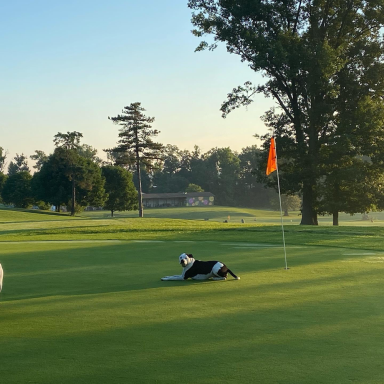 5272 tri county golf ranch cincinnati ohio 768x768