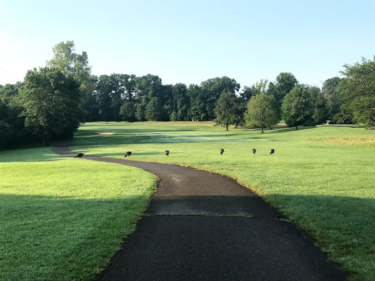 5280 glenview golf course cincinnati ohio 768x576