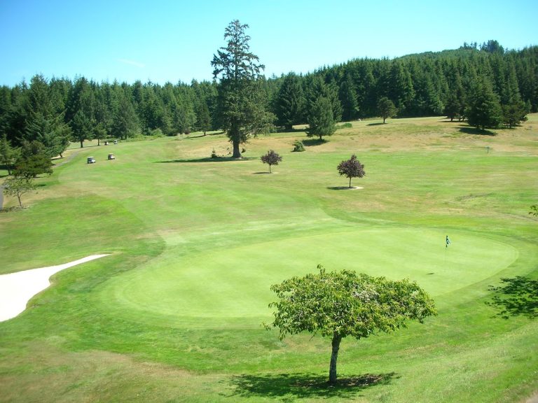 5695 reedsport golf course 8211 public welcome formerly forest hills cc reedsport oregon 768x576