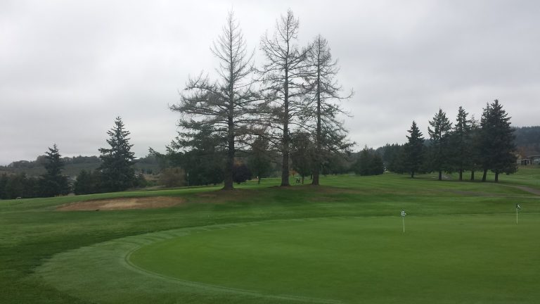 5697 oak hills golf club sutherlin oregon 768x432
