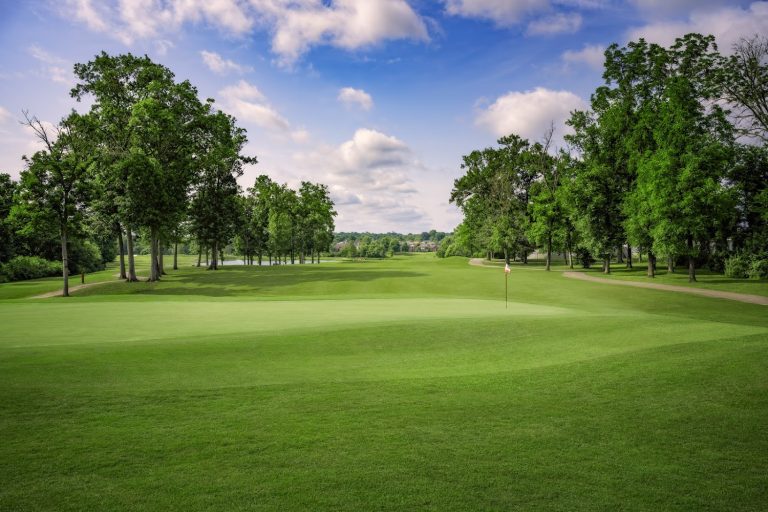 6422 towhee club spring hill tennessee 768x512