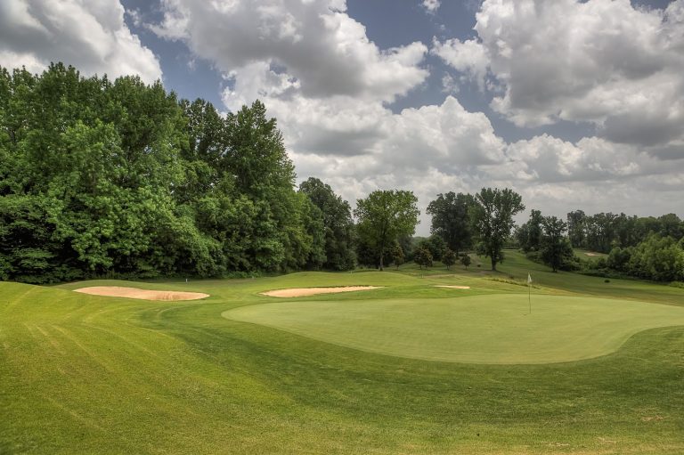 7054 forest hill golf course drummonds tennessee 768x511