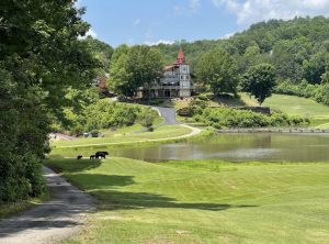 Covered Comfort – Georgia’s Top All-Weather Ranges